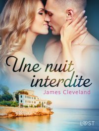 Une nuit interdite - une nouvelle érotique