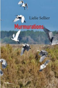 Murmurations