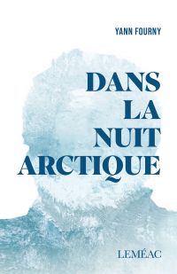 Dans la nuit arctique