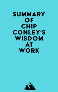 Summary of Chip Conley's Wisdom at Work