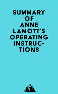 Summary of Anne Lamott's Operating Instructions