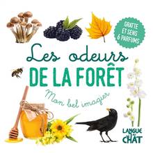 Les odeurs de la forêt