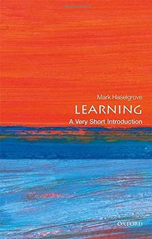 Learning: a Very Short Introduction