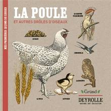 La poule : et autres drôles d'oiseaux