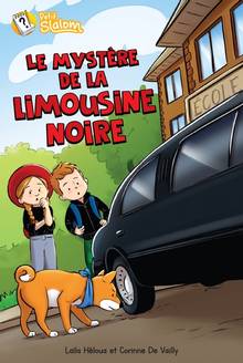 Mystère de la limousine noire, Le