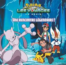 Pokémon : la série Les voyages : Une rencontre légendaire !