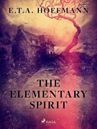 The Elementary Spirit